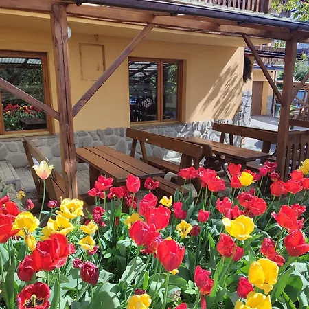 Pokoje I U Dragonka Apartment