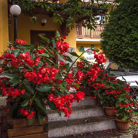 Apartment I U Dragonka Sniadania I Obiady Szczawnica
